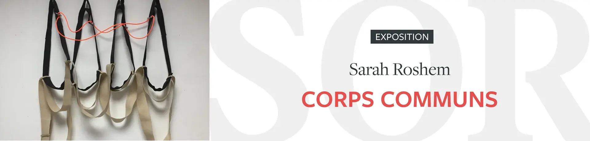 Sarah Roshem Corps communs